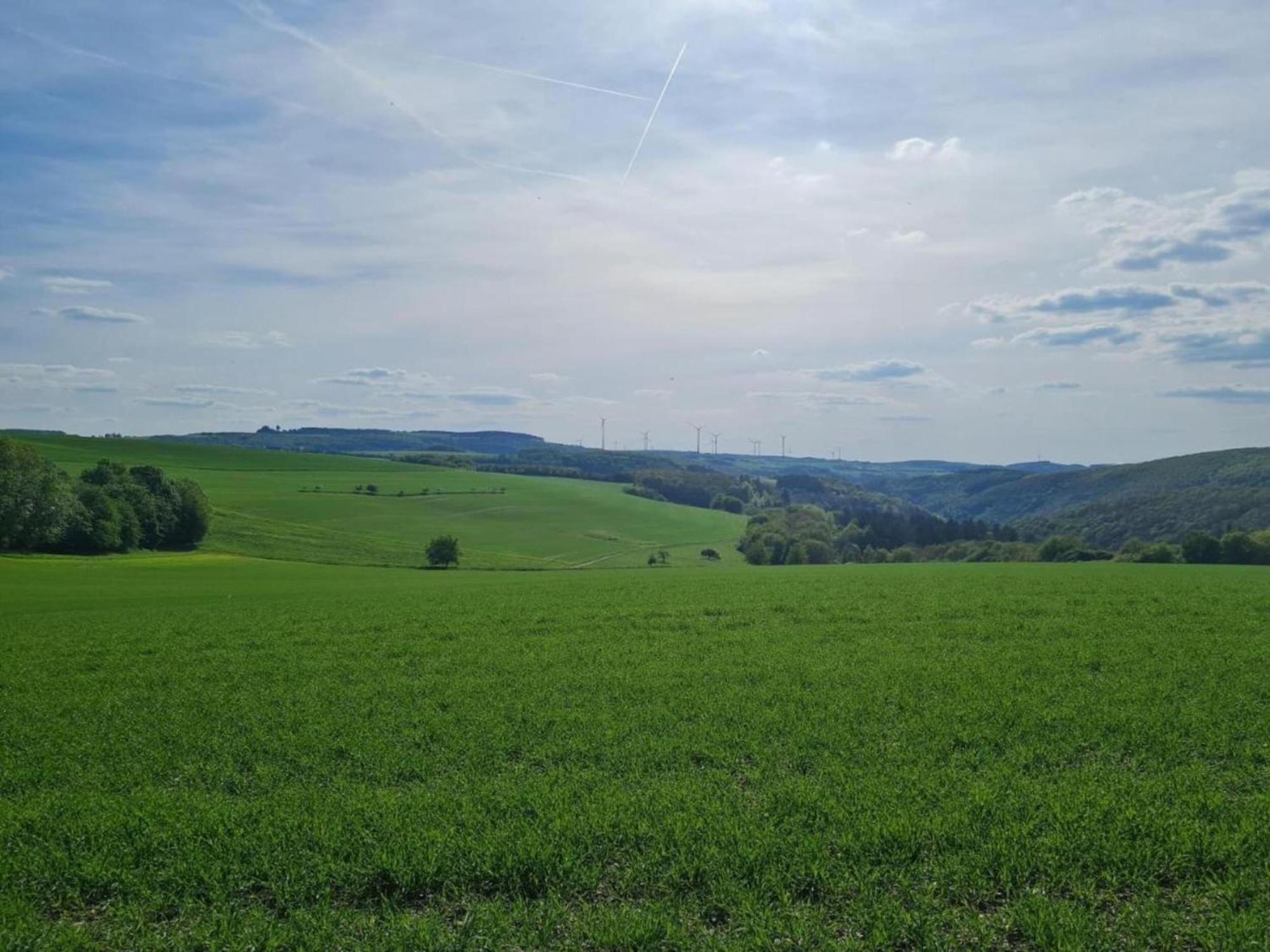 Tranquil Holiday Home In Filz In The Eifel With Garden 外观 照片